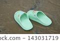 Light Green Rubber Sandals on Wet Sand Beach Shore 143031719