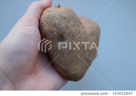 Heart shaped brown potato held in hand against a neutral background Heart shaped brown potato held in hand against a neutral background 143032647
