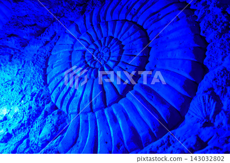 Ammonite Fossil Relief Wall Sculpture Illuminated in Blue Neon Light Ammonite Fossil Relief Wall Sculpture Illuminated in Blue Neon Light 143032802