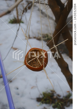 Orange peel bird feeder hanging in a winter garden during the day Orange peel bird feeder hanging in a winter garden during the day 143032894