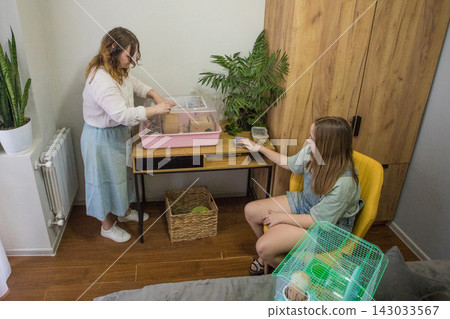 Two people are cleaning a hamster cage. One person is sitting on a chair Two people are cleaning a hamster cage. One person is sitting on a chair 143033567