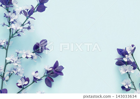 Apple flowers on blue paper background. Pastel colors. Flat lay, top view. Spring flowers with green leaves. Floral pattern. Creative trend composition. Layout with blooming fruit tree. Greeting Card Apple flowers on blue paper background. Pastel colors. Flat lay, top view. Spring flowers with green leaves. Floral pattern. Creative trend composition. Layout with blooming fruit tree. Greeting Card 143033634