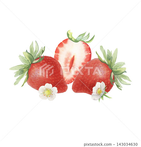 Strawberries, whole, half berries, leaves, flowers. Hand-painted watercolor illustration isolated on white for food packaging, tea, jam, desserts, drinks, branding, stickers, cards, recipes, designs Strawberries, whole, half berries, leaves, flowers. Hand-painted watercolor illustration isolated on white for food packaging, tea, jam, desserts, drinks, branding, stickers, cards, recipes, designs 143034630