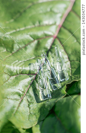 Ampoules with clear solution against background of beet leaf with network of burgundy veins resembling blood vessels. Concept of hematology, anemia treatment, vascular therapy, naturopathy Ampoules with clear solution against background of beet leaf with network of burgundy veins resembling blood vessels. Concept of hematology, anemia treatment, vascular therapy, naturopathy 143034777