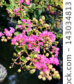 繡線 143034813