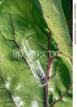 Glass ampoule on fresh green leaf as concept for modern liquid fertilizer, plant nutrition, biostimulants, and agricultural biotechnology for healthy crop growth. Biological scientific research Glass ampoule on fresh green leaf as concept for modern liquid fertilizer, plant nutrition, biostimulants, and agricultural biotechnology for healthy crop growth. Biological scientific research 143034868