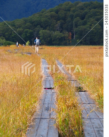 Autumn in Oze: A wetland landscape covered in the vibrant colors of autumn grasses. Autumn in Oze: A wetland landscape covered in the vibrant colors of autumn grasses. 143035038