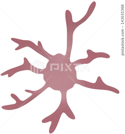 microglial cell illustration microglial cell illustration 143035366