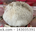 Hamster fur 143035391