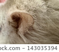 Hamster fur 143035394