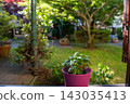 Cozy Green Garden View Through a Window 143035413