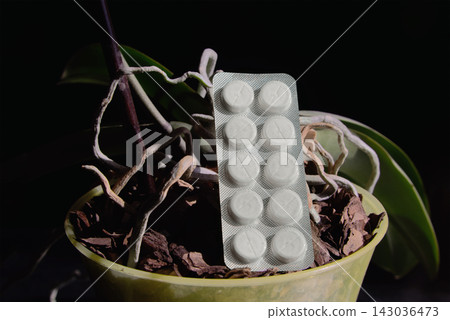 Close-up of orchid roots with a blister of white pills on them against a black background. Close-up of orchid roots with a blister of white pills on them against a black background. 143036473