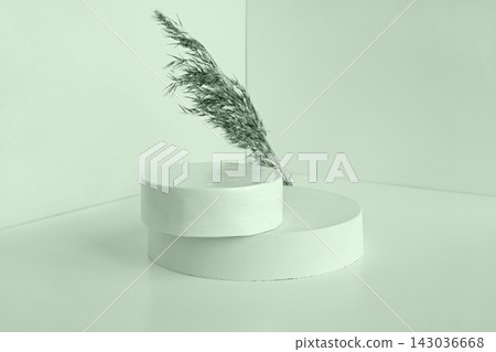 Podium for cosmetic product presentation. Abstract minimal geometrical form. Cylinder stone sphere one form, shadow. Scene to show products. Showcase, display. Trendy sunlight. Front view. 3D Podium for cosmetic product presentation. Abstract minimal geometrical form. Cylinder stone sphere one form, shadow. Scene to show products. Showcase, display. Trendy sunlight. Front view. 3D 143036668