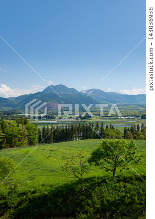新鮮的綠色Iida Kogen 新鮮的綠色Iida Kogen 143036938