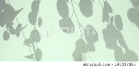 Plant shadows on neutral color wall. Leaves shadow background. Branches, flowers and foliage on pastel studio background. Product presentation, Minimal mock up for advertising. Trendy Overlay effect Plant shadows on neutral color wall. Leaves shadow background. Branches, flowers and foliage on pastel studio background. Product presentation, Minimal mock up for advertising. Trendy Overlay effect 143037086
