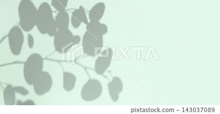 Plant shadows on neutral color wall. Leaves shadow background. Branches, flowers and foliage on pastel studio background. Product presentation, Minimal mock up for advertising. Trendy Overlay effect Plant shadows on neutral color wall. Leaves shadow background. Branches, flowers and foliage on pastel studio background. Product presentation, Minimal mock up for advertising. Trendy Overlay effect 143037089