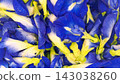 Full frame top view background of fresh blue butterfly pea flowers 143038260