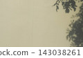 Tree leaves shadow overlay on white wall background for product presentation 143038261