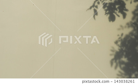 Tree leaves shadow overlay on white wall background for product presentation 143038261