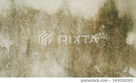 Full frame background texture of weathered old concrete wall with green moss and fungus Full frame background texture of weathered old concrete wall with green moss and fungus 143038263