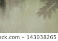 Tree leaves shadow overlay on weathered dirty concrete wall background 143038265