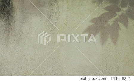 Tree leaves shadow overlay on weathered dirty concrete wall background 143038265