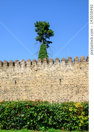 Telavi Fortress, Batonis Tsikhe, 17th century royal fortified complex located in Telavi, Georgia Telavi Fortress, Batonis Tsikhe, 17th century royal fortified complex located in Telavi, Georgia 143038492