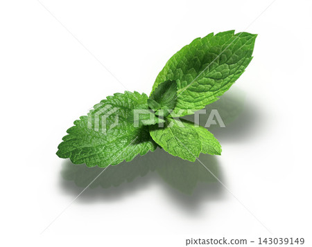 Close-up of a mint leaf (photorealistic 3DCG) Close-up of a mint leaf (photorealistic 3DCG) 143039149