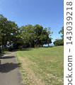 Park on a sunny day 143039218