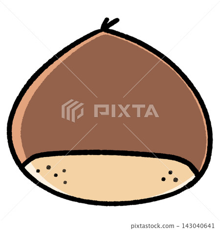 Simple chestnut illustration 143040641