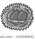Illustration of a chestnut in its burr (grayish) 143040642