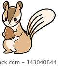 Cute squirrel illustration 143040644