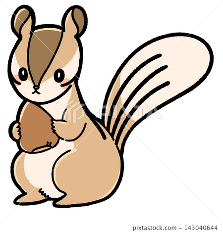 Cute squirrel illustration Cute squirrel illustration 143040644