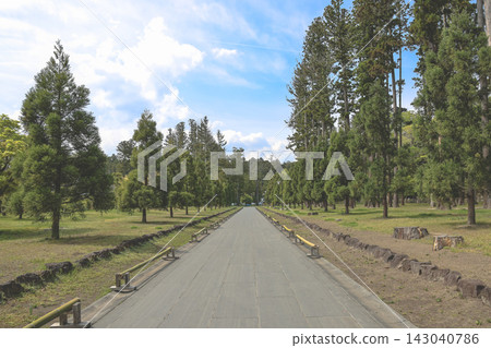 April 28 2026 Serene pathway leading to Zuiganji Temple pine forest April 28 2026 Serene pathway leading to Zuiganji Temple pine forest 143040786