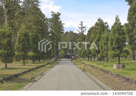 April 28 2026 Serene pathway leading to Zuiganji Temple pine forest April 28 2026 Serene pathway leading to Zuiganji Temple pine forest 143040788