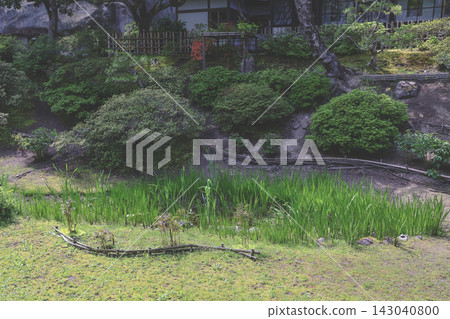 April 28 2026 Zuiganji Temple garden lush greenery landscape April 28 2026 Zuiganji Temple garden lush greenery landscape 143040800