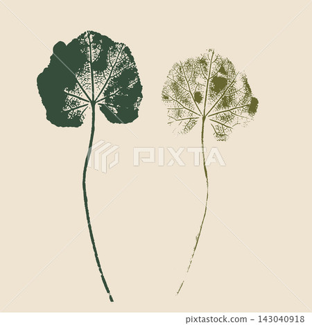 Botanical leaf imprints set with detailed veins. Green ink pressed leaves on beige background, minimalist natural herbarium printmaking illustration. Botanical leaf imprints set with detailed veins. Green ink pressed leaves on beige background, minimalist natural herbarium printmaking illustration. 143040918