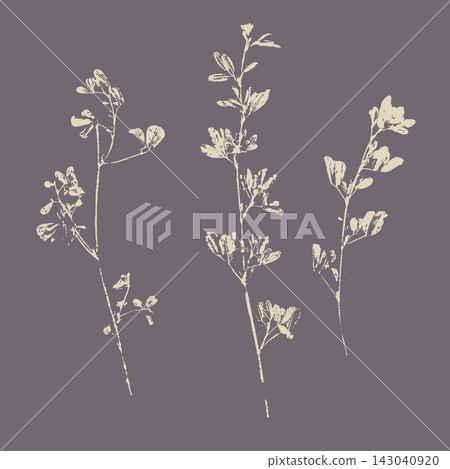 Botanical wildflower stems imprints set. Light beige ink pressed flora silhouettes on dark dusty purple background, minimalist natural herbarium printmaking illustration. Botanical wildflower stems imprints set. Light beige ink pressed flora silhouettes on dark dusty purple background, minimalist natural herbarium printmaking illustration. 143040920