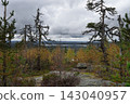 A northern landscape with autumn forests under a heavy, overcast sky 143040957