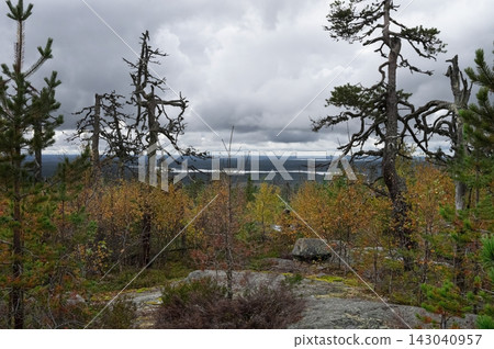 A northern landscape with autumn forests under a heavy, overcast sky A northern landscape with autumn forests under a heavy, overcast sky 143040957