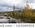 Autumn landscape with a rocky plateau under an impressive cloudy sky. 143040958