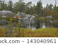 A small forest lake with autumn tundra vegetation 143040961