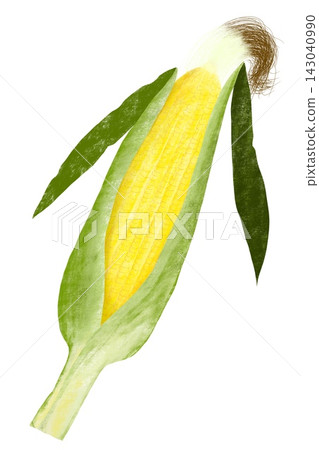 Crayon-style vegetable and fruit series: "Corn" 143040990