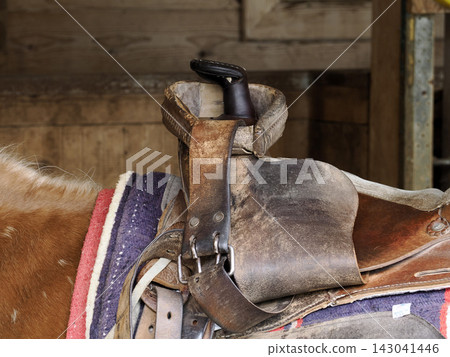 Worn Western Saddle Horn Close Up on Horse with Blanket Worn Western Saddle Horn Close Up on Horse with Blanket 143041446