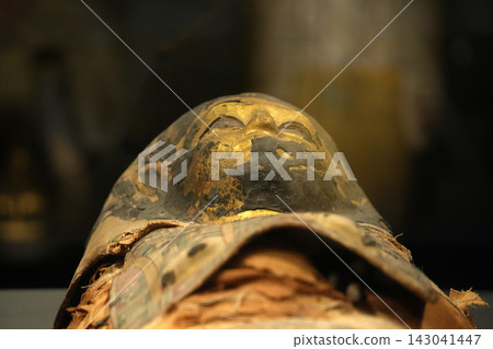 Ancient Egyptian Mummy with Golden Funerary Mask Ancient Egyptian Mummy with Golden Funerary Mask 143041447