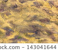 Ochre brown abstract impasto painting texture background with thick brush strokes, mustard acrylic art surface, macro 143041644