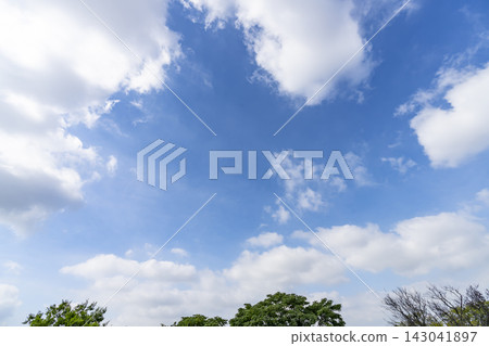 夏天藍天和雲彩和樹 143041897