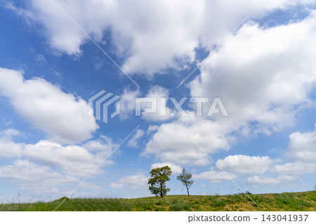 夏天的藍天、白雲和草地 夏天的藍天、白雲和草地 143041937
