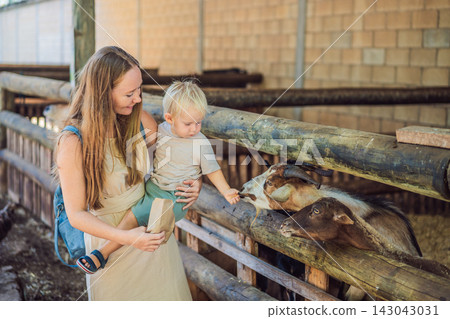 Mother helps her toddler feed a goat beside a sheep at a children's farm. Early childhood learning through animal encounters. Mother helps her toddler feed a goat beside a sheep at a children's farm. Early childhood learning through animal encounters. 143043031