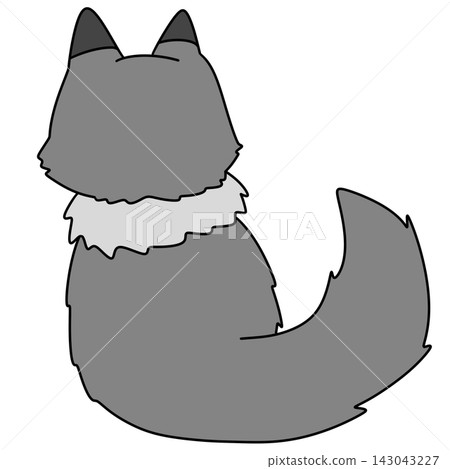 Gray cat with pointed ears and bushy tail 143043227